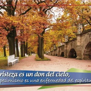 Almanaque de bolsillo 2026