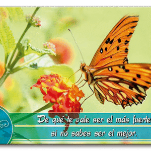 Almanaque de bolsillo 2027